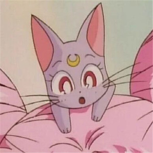 女学生自卫在线
