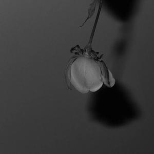 女学生自卫在线
